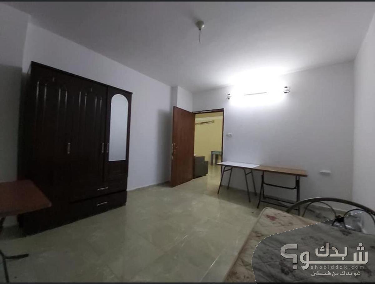 شقة للايجار اربع غرف نابلس شو بدك من فلسطين؟ شقة للايجار اربع غرف نابلس شو بدك من فلسطين؟