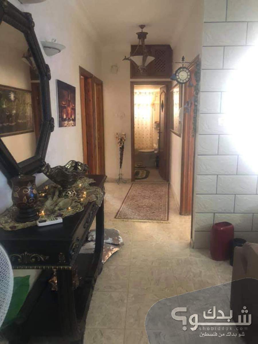 شقة للبيع ثلاث غرف نابلس شو بدك من فلسطين؟ شقة للبيع ثلاث غرف نابلس شو بدك من فلسطين؟