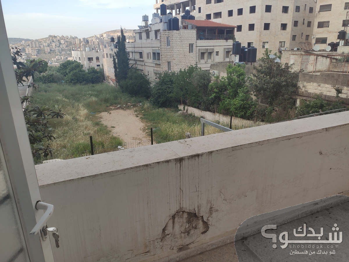 شقة للايجار ثلاث غرف نابلس شو بدك من فلسطين؟ شقة للايجار ثلاث غرف نابلس شو بدك من فلسطين؟