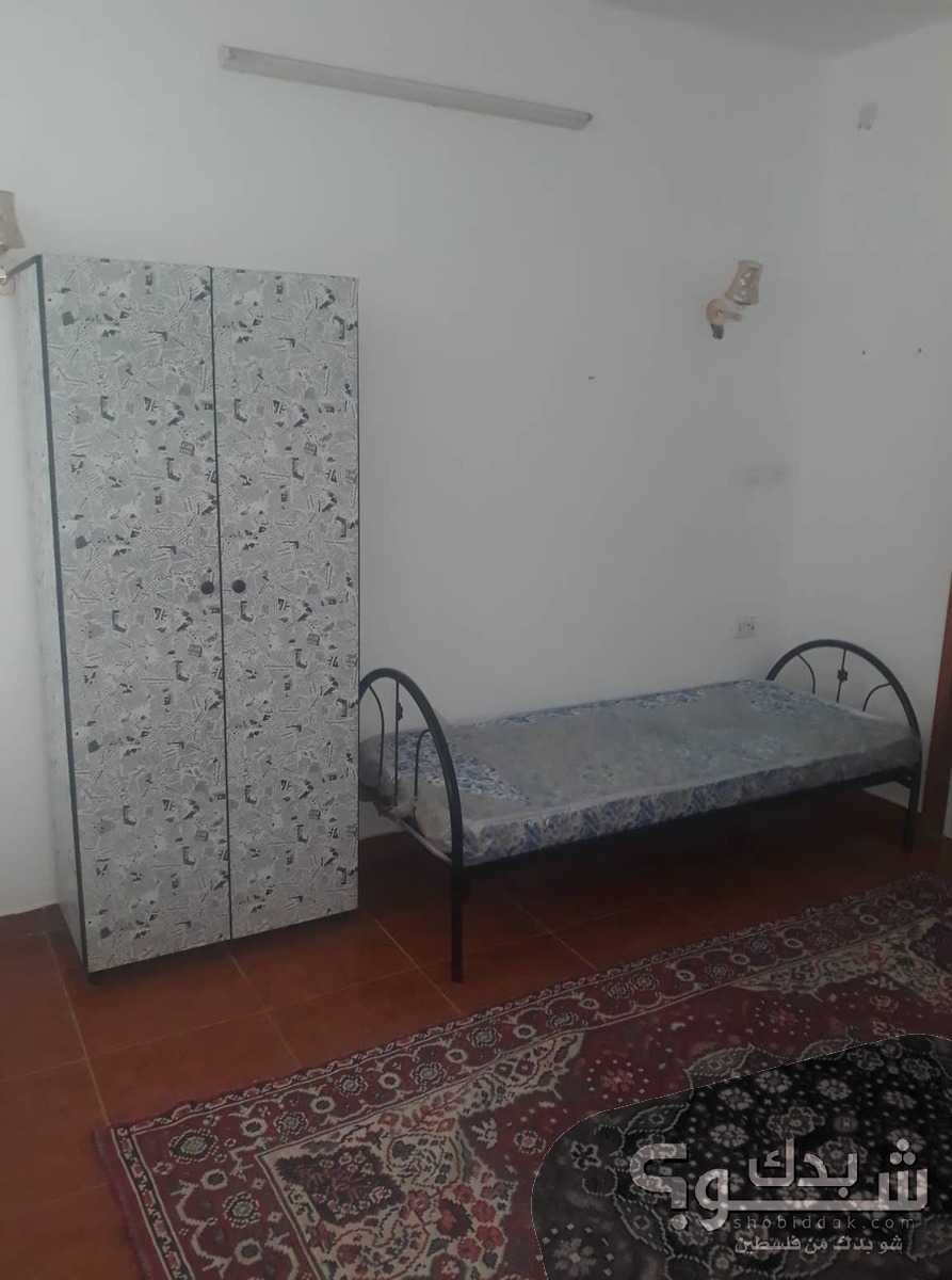 شقة للايجار ثلاث غرف نابلس شو بدك من فلسطين؟ شقة للايجار ثلاث غرف نابلس شو بدك من فلسطين؟
