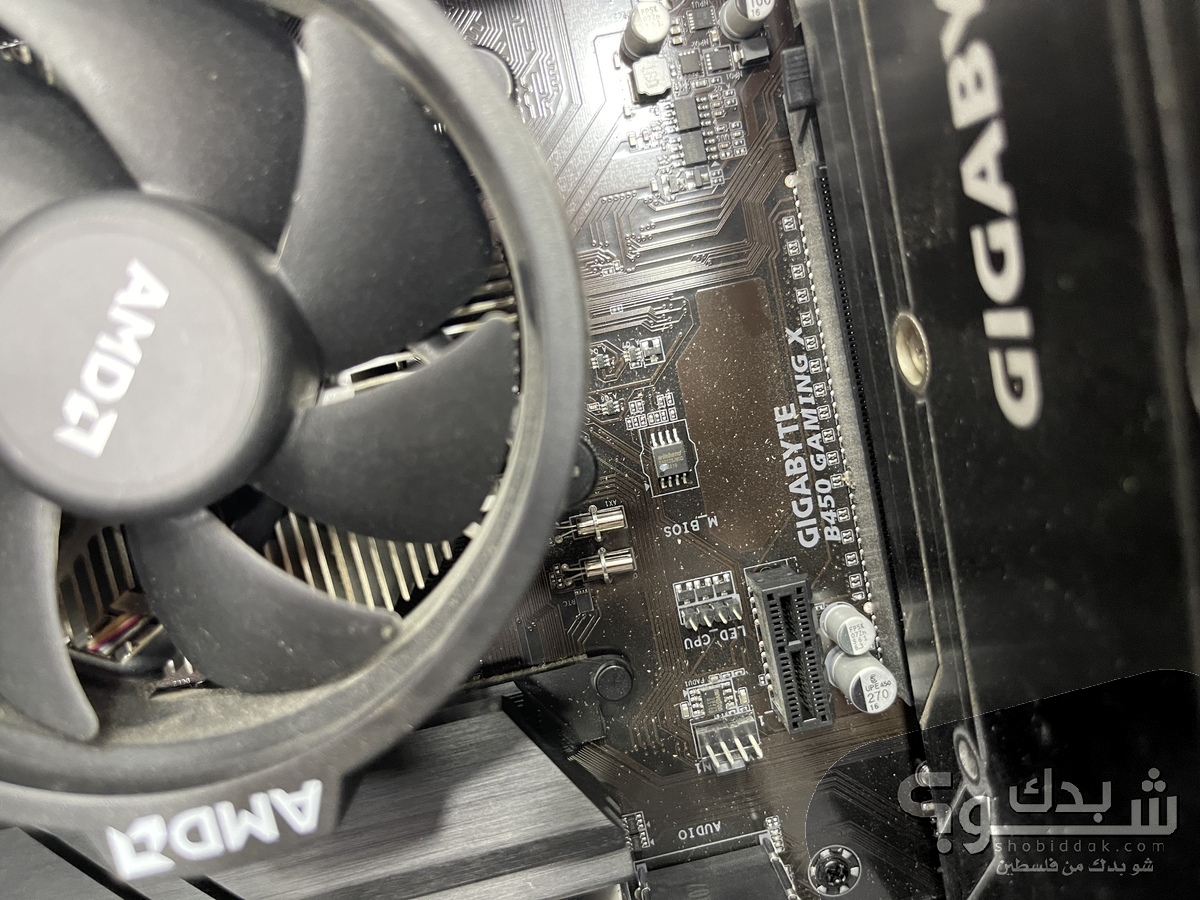 R5 3600 | شو بدك من فلسطين؟